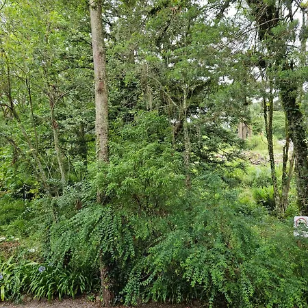 Cantinho Das Oliveiras. Gramado Exterior photo