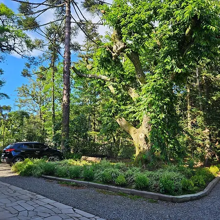 Cantinho Das Oliveiras. Gramado Exterior photo