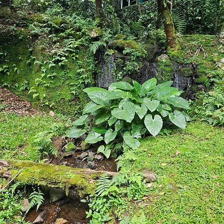 Cantinho Das Oliveiras. Gramado Exterior photo