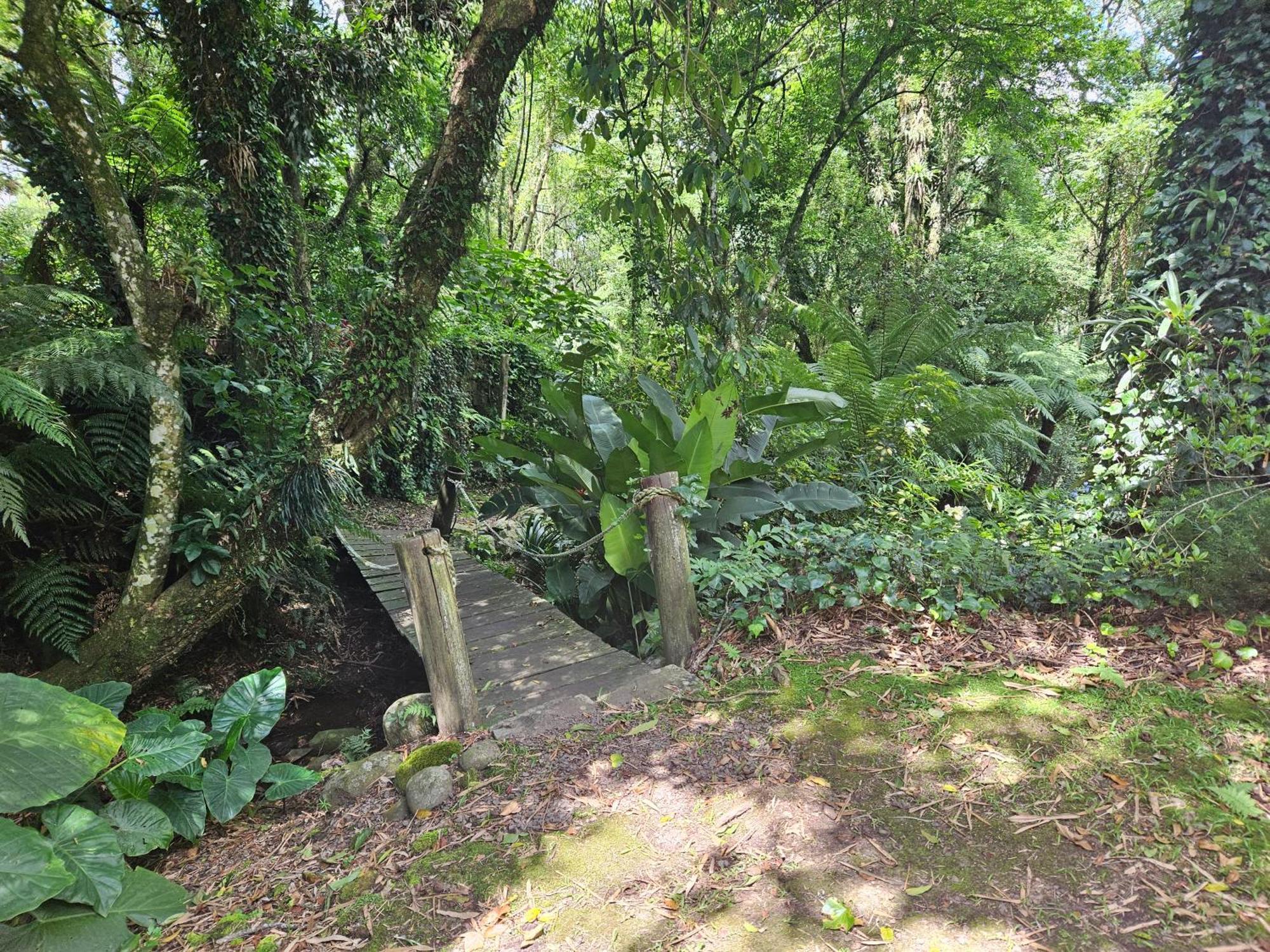 Apartment Cantinho Oliveiras. *